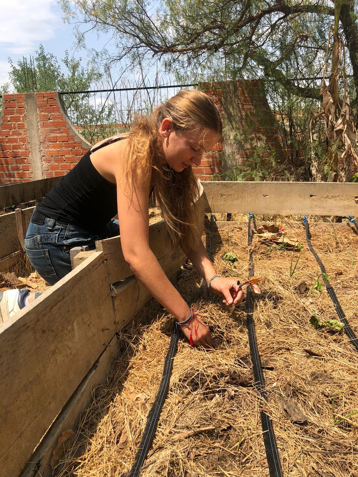 Volunteer 3